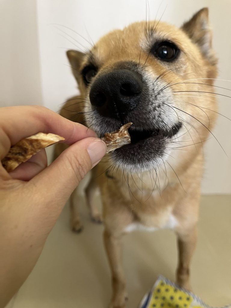 a55df8677eff921666bcdd3c6f3c70a3