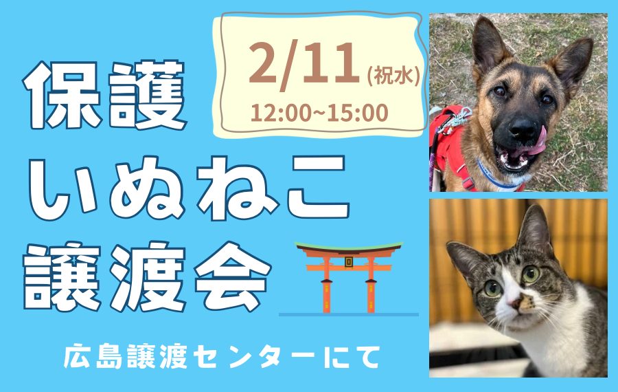 譲渡会・イベントのご案内 7 eyecatch 22