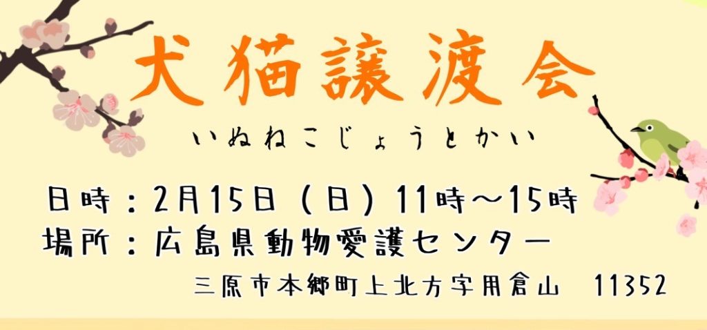 01befe52d5eab99746d53ac9d10b63bf