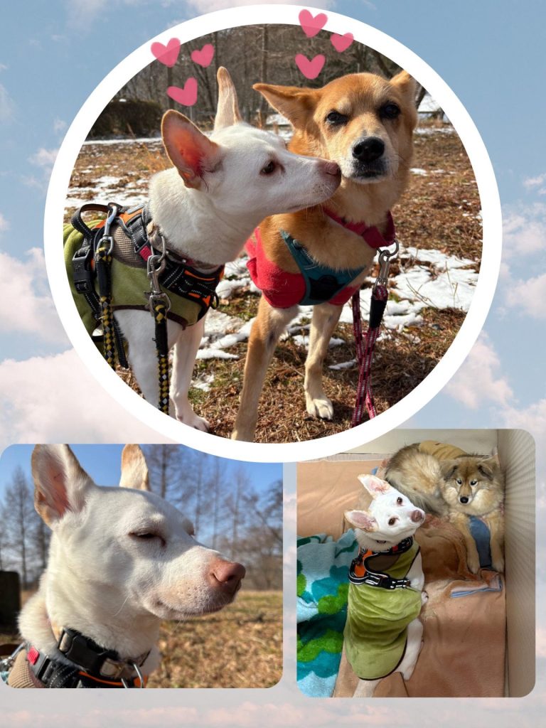 b0f10ac9717d121a71b093fb4abd8b5a