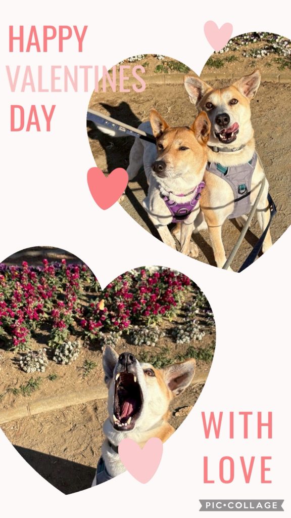 294a200102d27720e6dd767ae7f08fe5