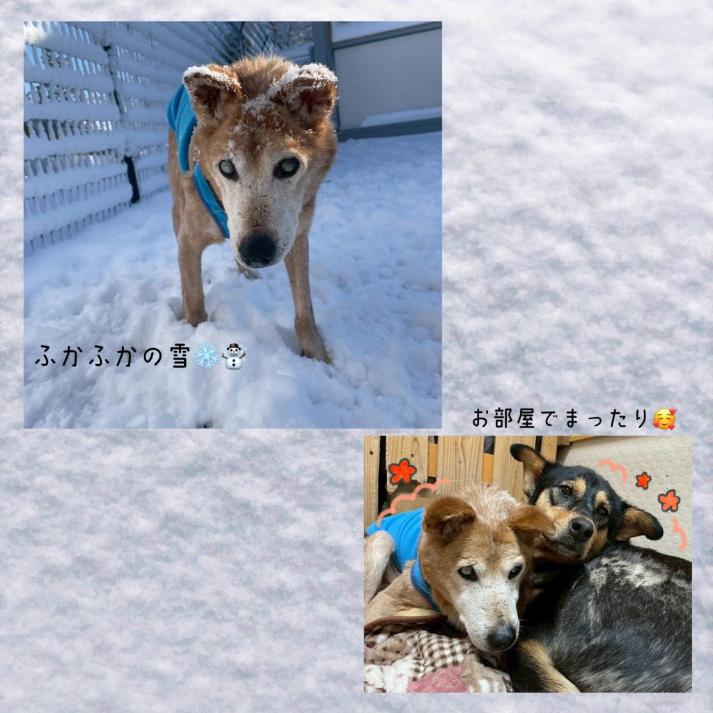 f7ce1812e47236e085be5921c7eb9429