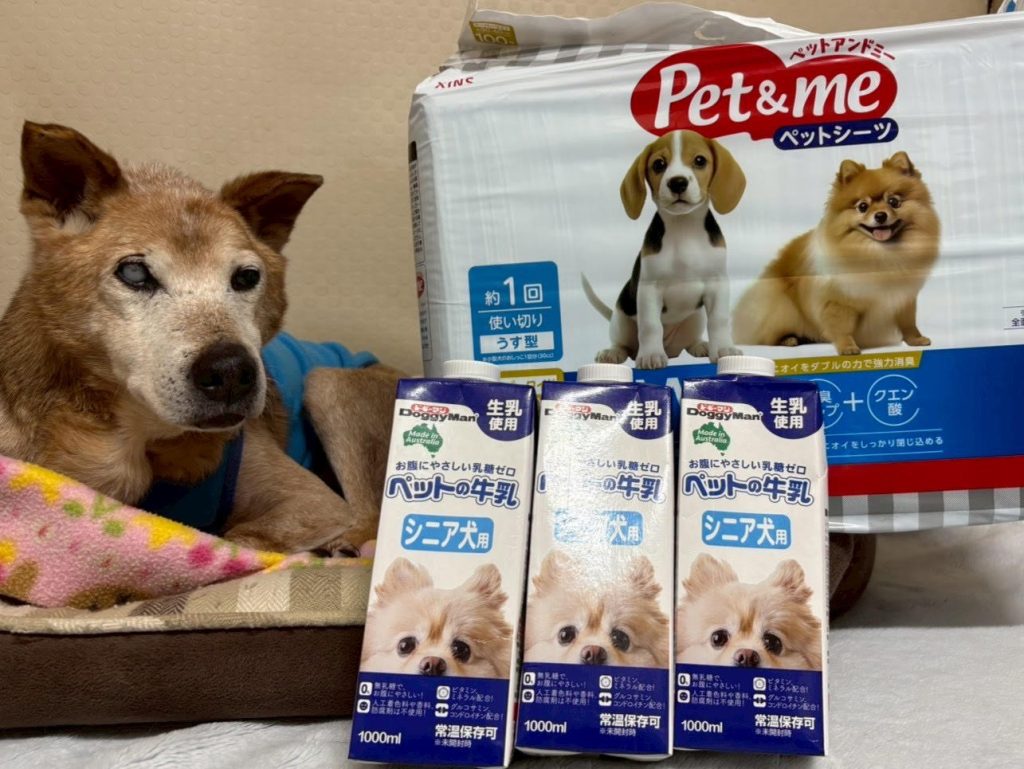 0996a2996911ada57658338813cb8c85