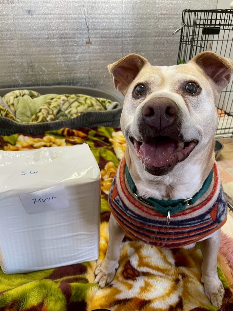 77a39b40f11d991a7ce8313fad5a9aa9