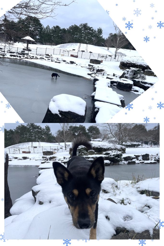 215928e966f28bfaa3f5b3d4e0b29df2