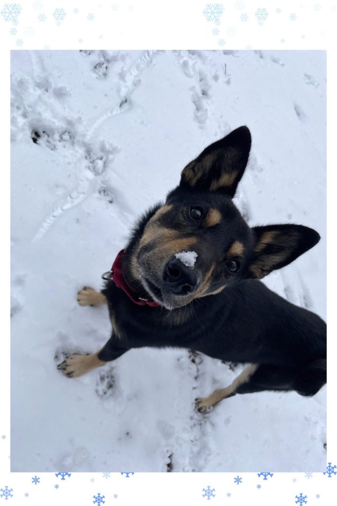 894a4354b108c9963da8d3b1f778487a