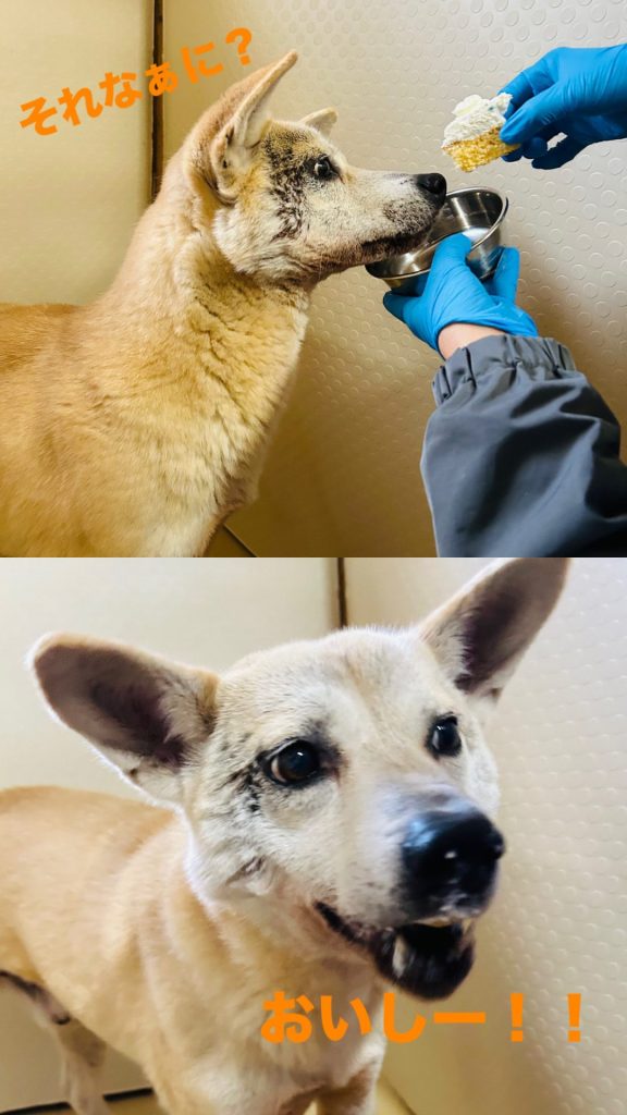 298aa4ad10df57e868c3f0d654c18eb7