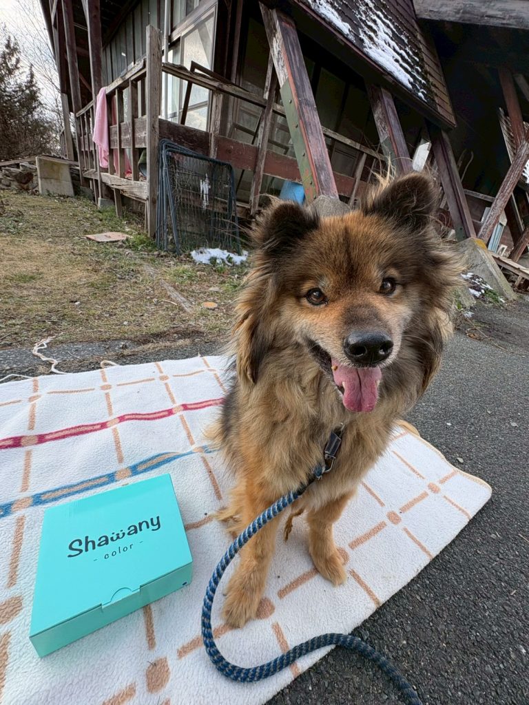 d8cb061c0724c5393fc802e85f8ab252