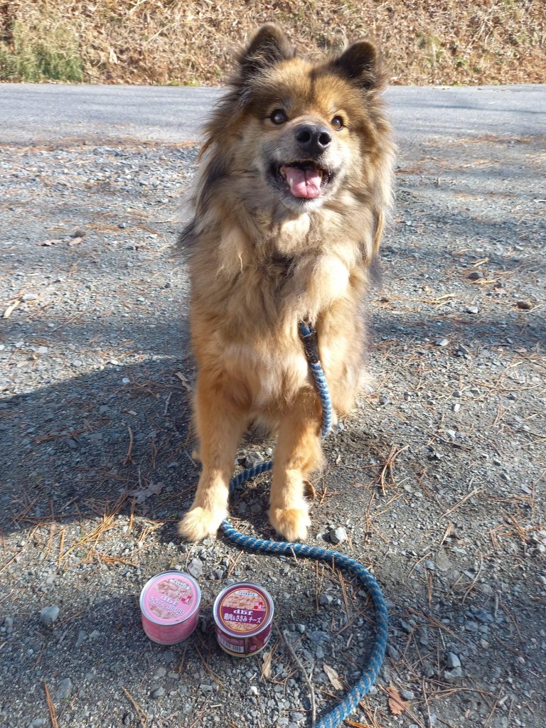 4dc7bc7609f3ef349d2450ea16a1eec7