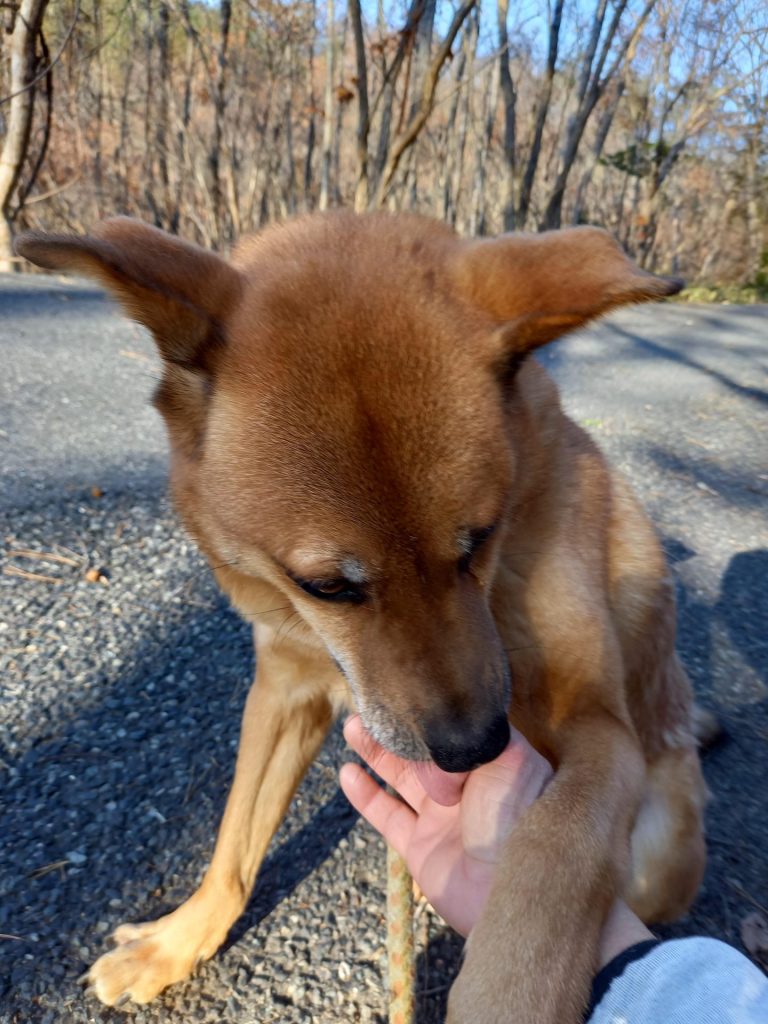 124f873228503a13ddf3c6daf8ef63d9