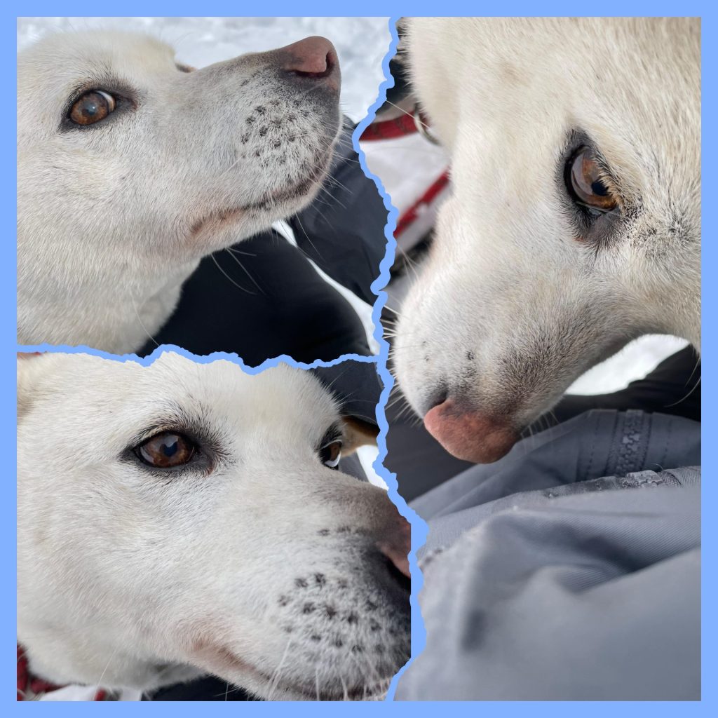 11e0d49cb66611434b40912fe283be90