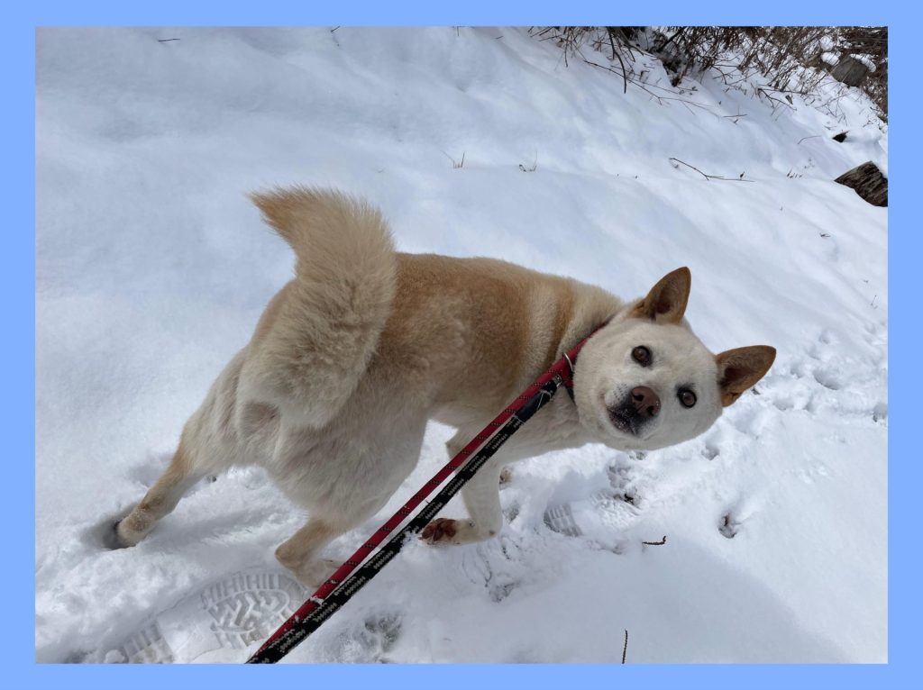 5a27a1f40c580a0956536a9fdb85236a