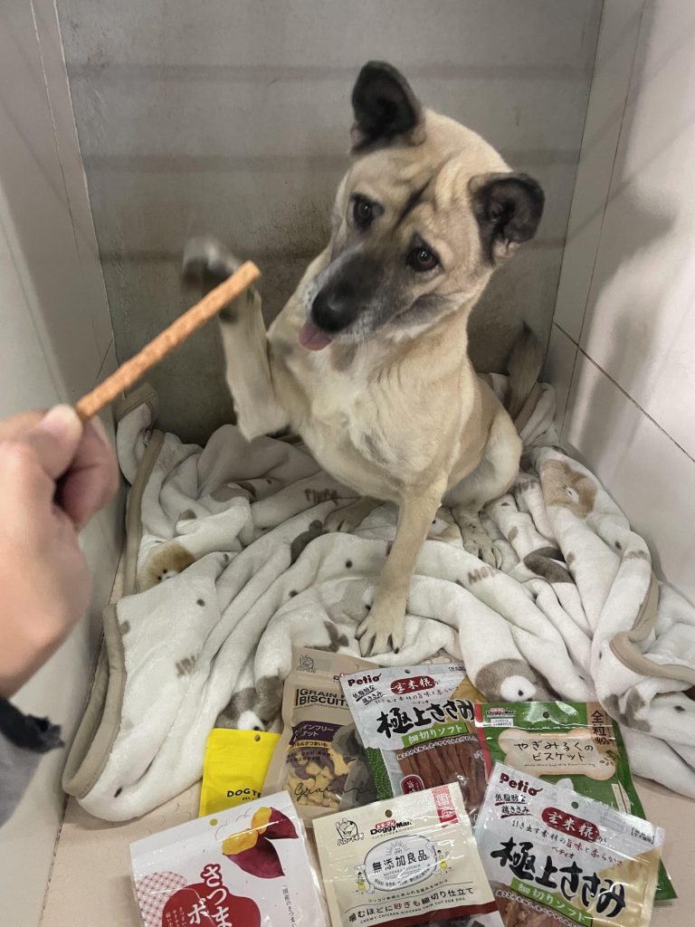 28bba827d71514a2e13aba89c92b189c