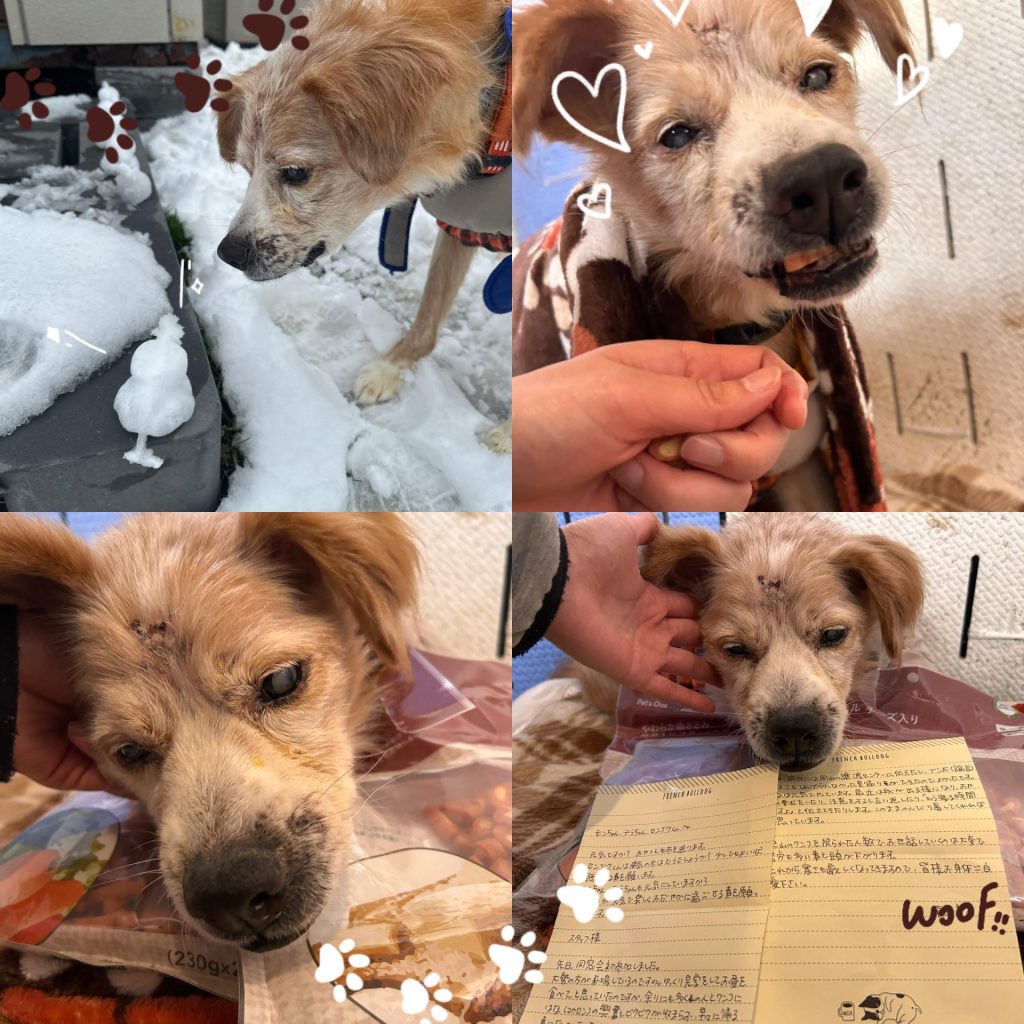 7e1fa0d030e3a542f0ed480184693742