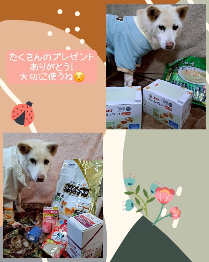 389bff4d0060396755e11de155621bf0