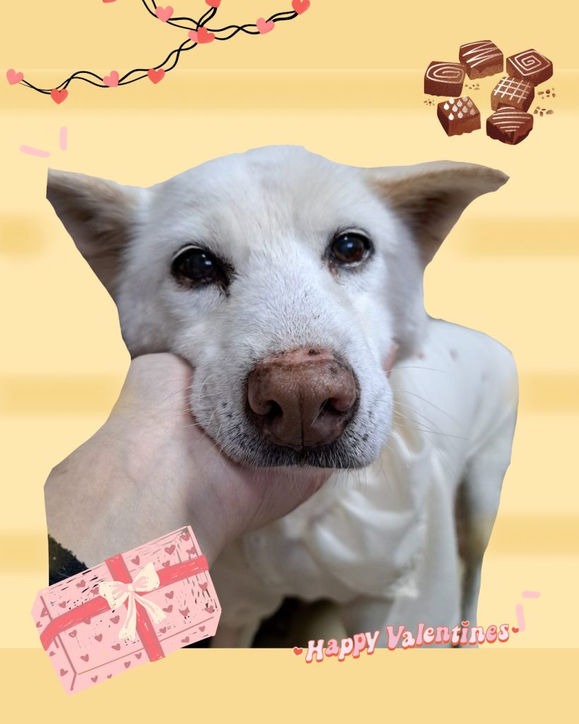 1d637be3a5a5908f9a549a08a8152ddd