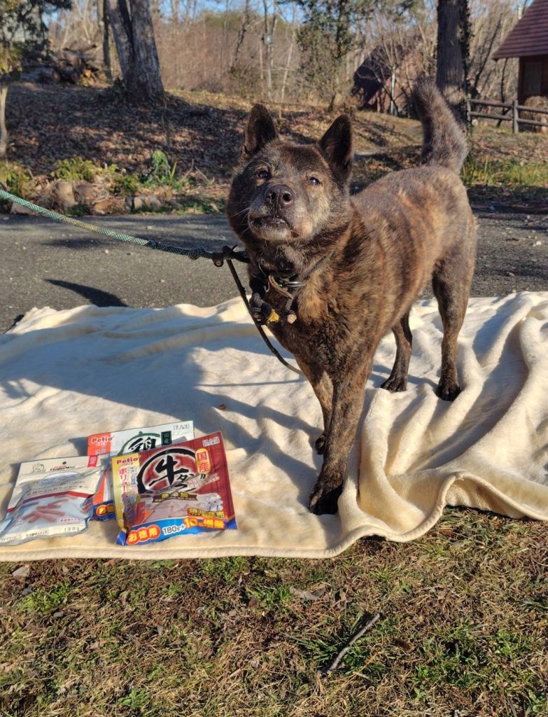 444f6095ccc7cc735b22e8c08fe56232