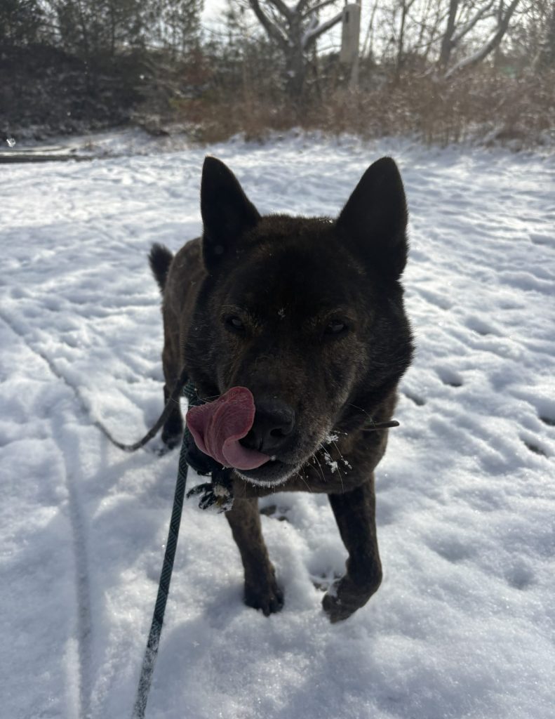 77d079e6fc07ff7264ff38f1c3d9f9ca