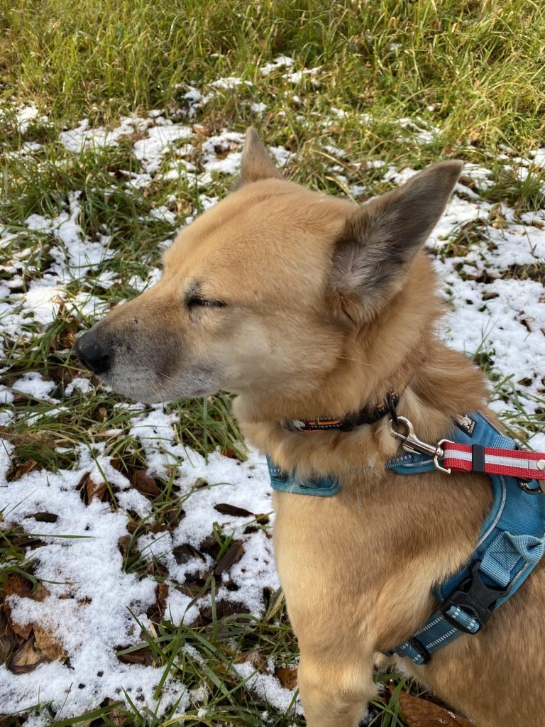 e8112e5b8c840f0db87c07533c7f1bc0