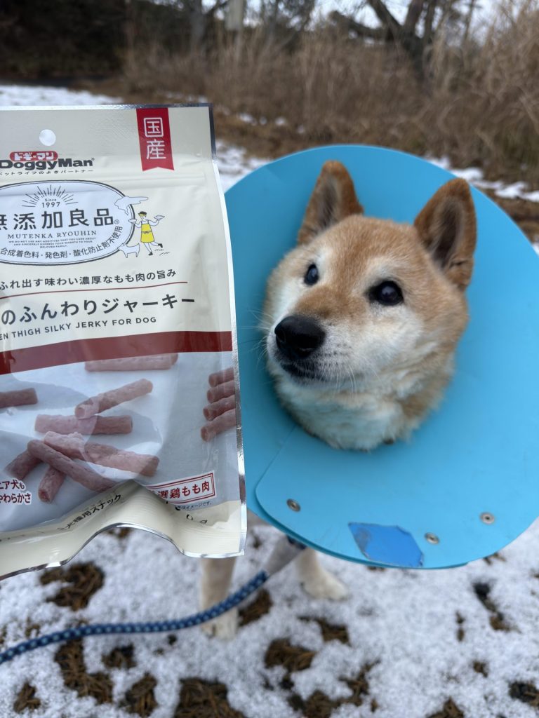 7a9648497277067c5f8d33439977eb23