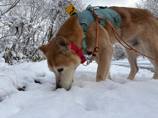 a6b8761486ad8a746eb3c3ae41a465e6