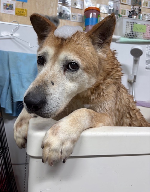 9101be6cb0e1e4128e30dc60951e5eed