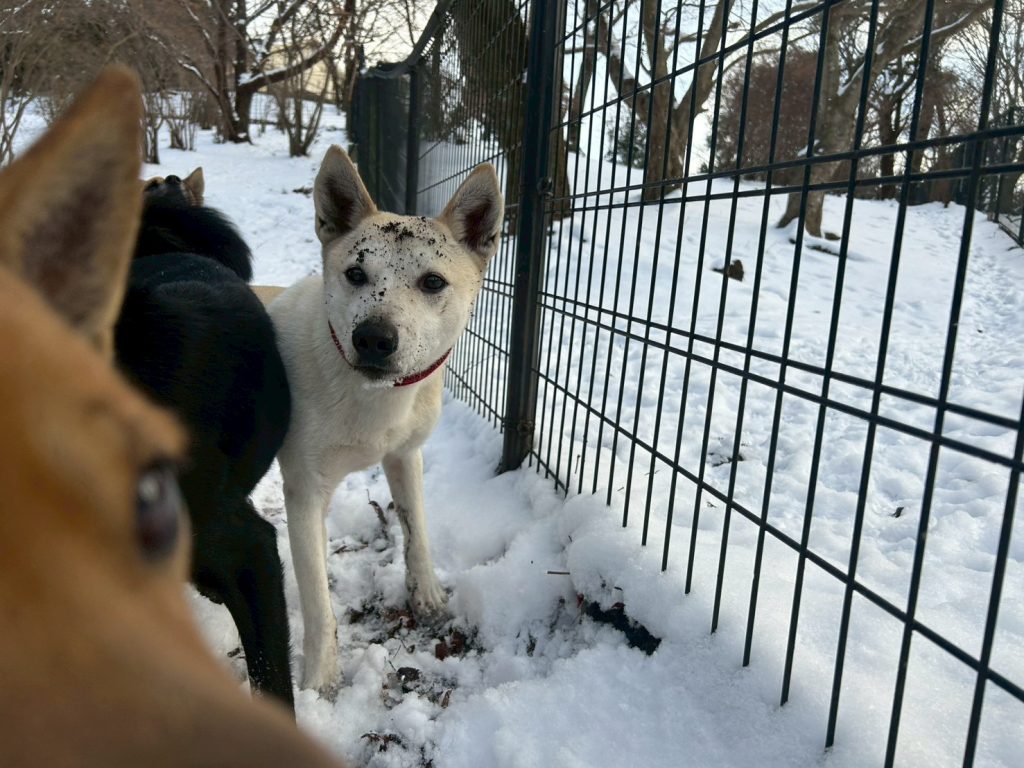 a35569b39a3f6fc1b473209ea8a9fb7b