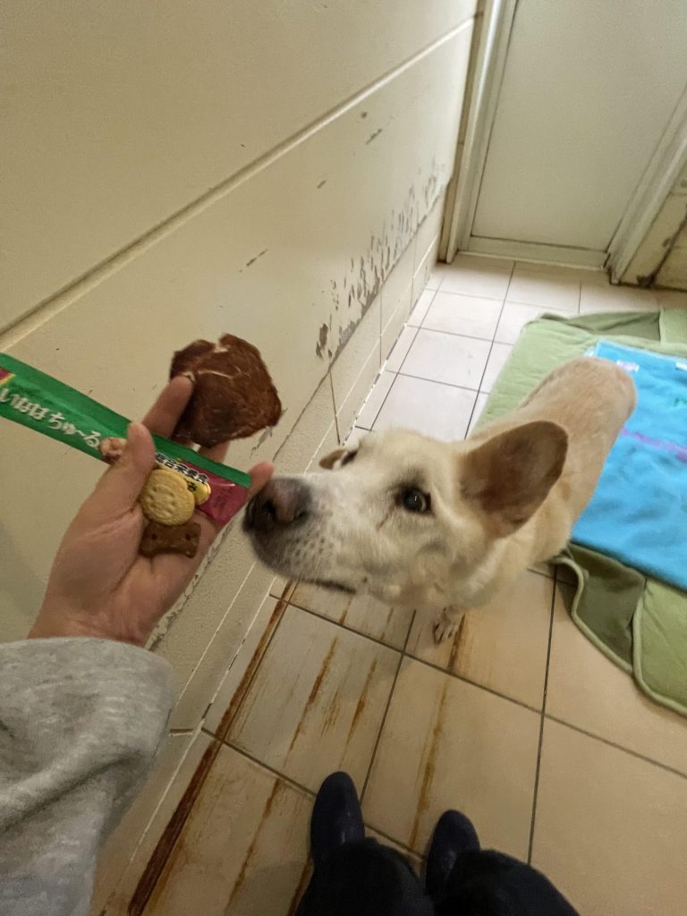 056291b23d8af40c6b00be34c322dfa2