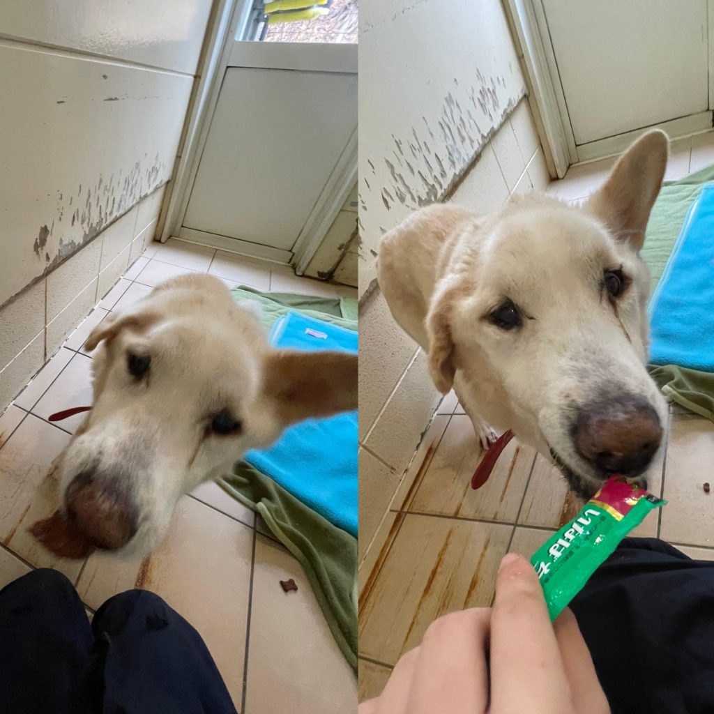 81989a5c97005d06773a0e19b087e58f