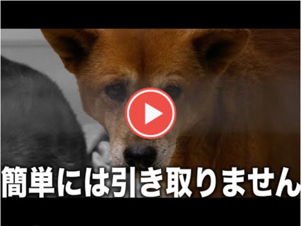 84d4f32234762b7c66c68abec2fa38a3