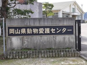 岡山県動物愛護センターから初の引き出し。行き場がない犬たち 11 20250206 1 1 1