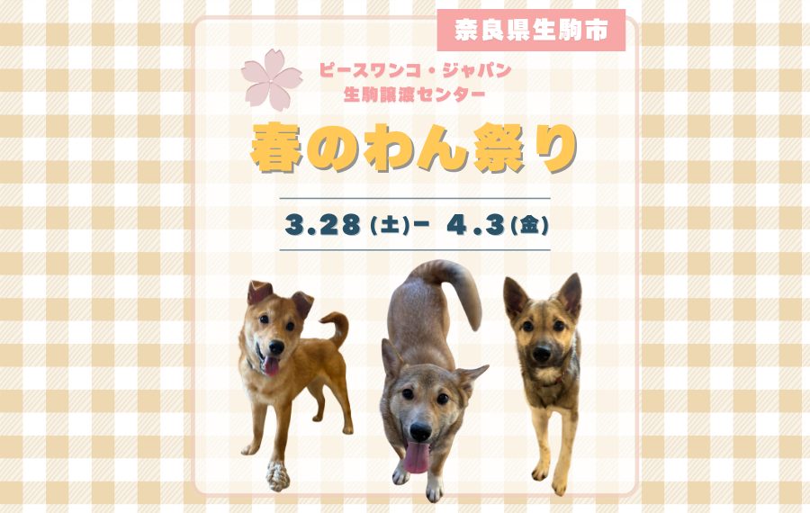 7e13d52af136f26f15fad721768c39d0