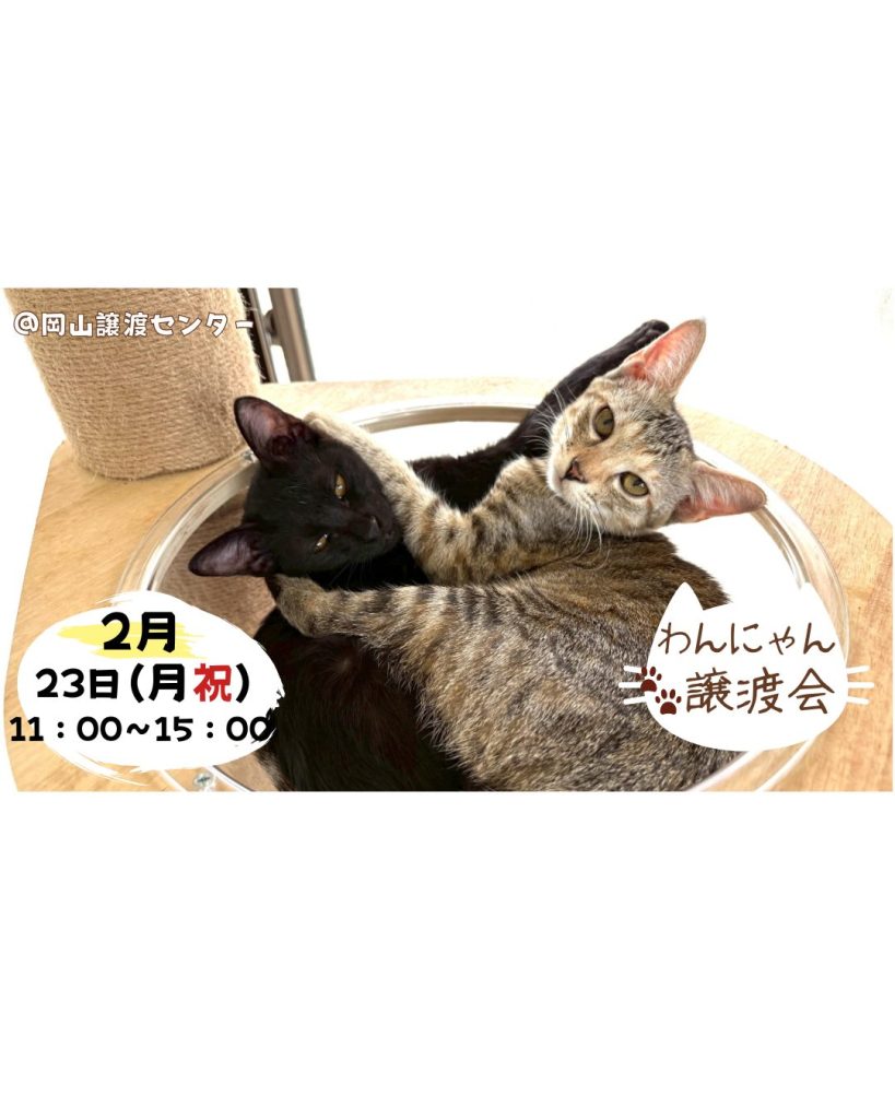 d1bbe29fb8e10a4a18b359c398ec4cb5