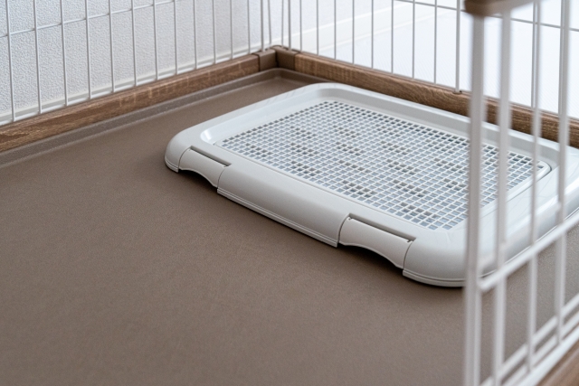 犬の外飼いは虐待になる?リスクを知り愛犬を守るための環境づくりとは 15 14bc6174ccd9892e67c6aa2275ca7aac