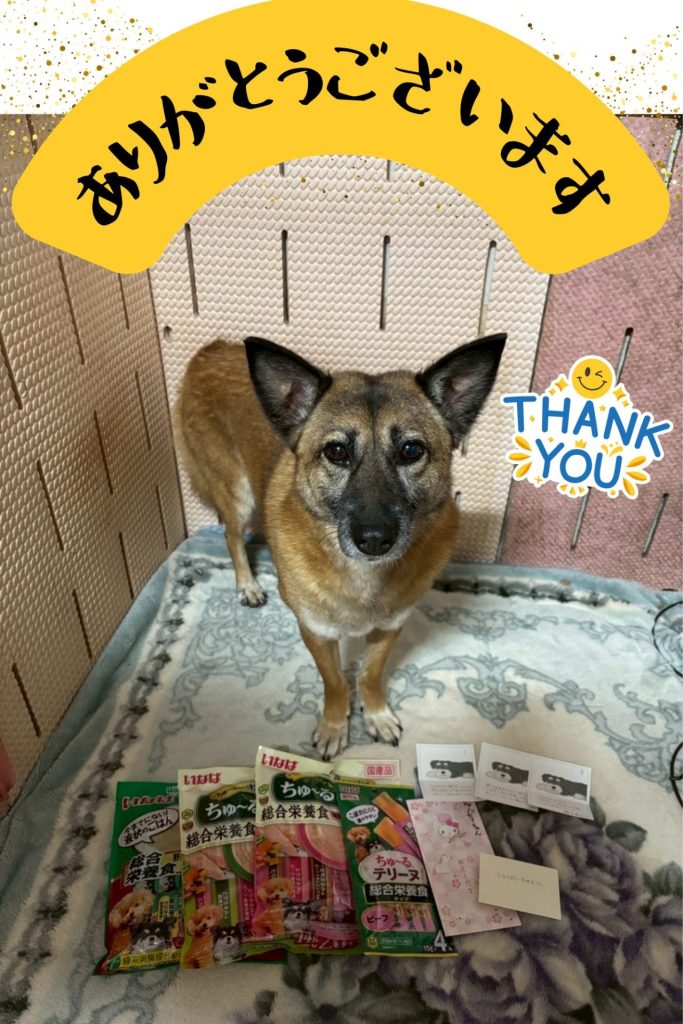 076403a379dc07ae1b664ae6536c3bd3