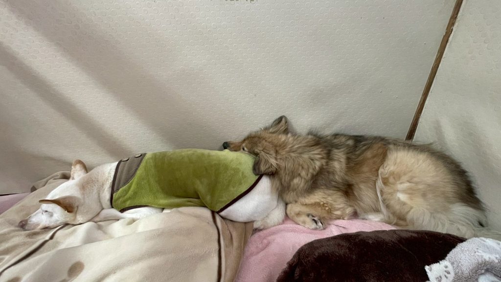 0d9bdef7de652622a805cc05a7638fa3