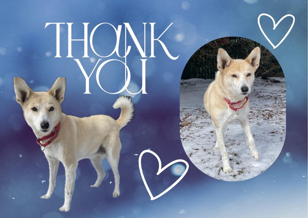 c0ca816c9b873815238b09e5be0a3176