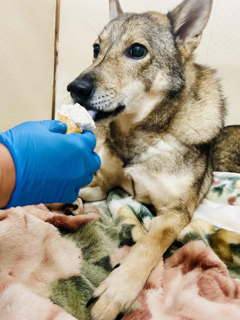 7ae0c9e044c580e5b8b086b7f7d7329d