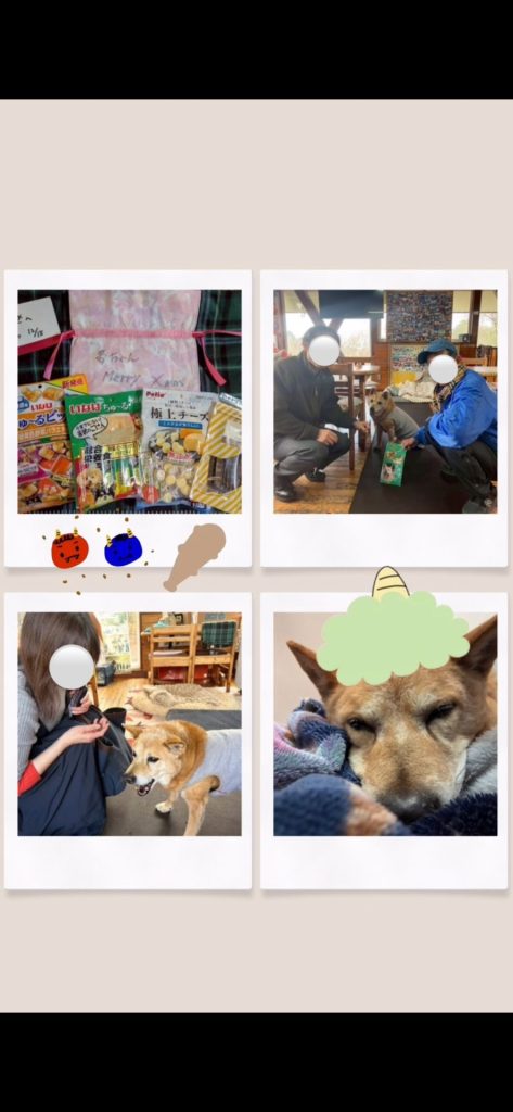 13c74e1d09c4f9dd3d1f63b4a98fd029