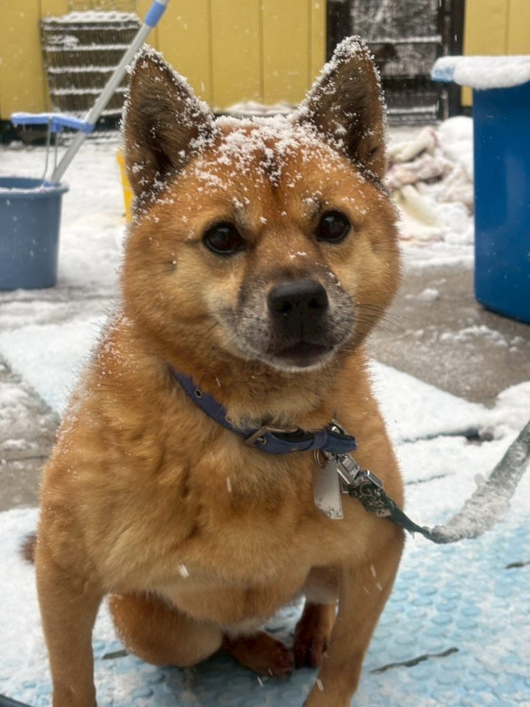 d6b66e1a77c4e729ceda1a6c11d2b1aa