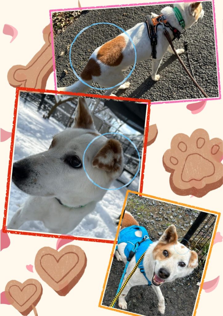 210da2cf24892a8575697fed6df1077f