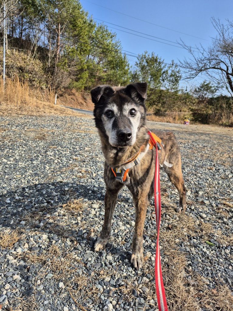 2fef43c73d5716359c2f03755f30fcf6