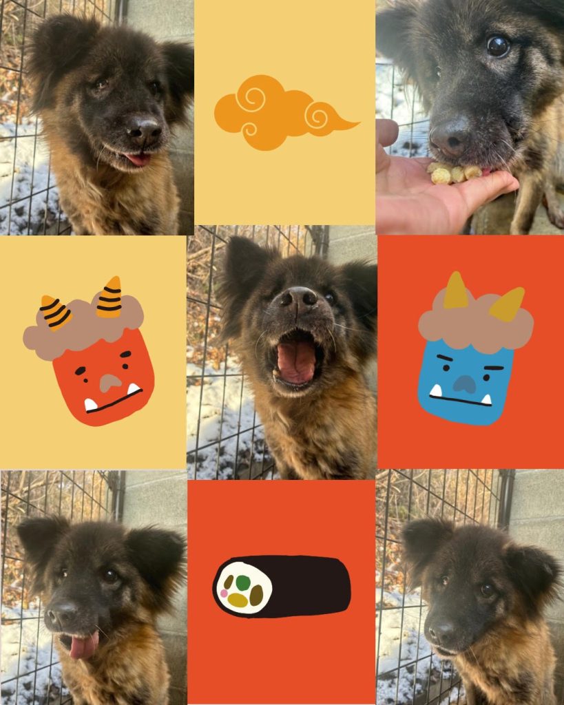 91f55d42d900fa8d12f0974ed3050af1