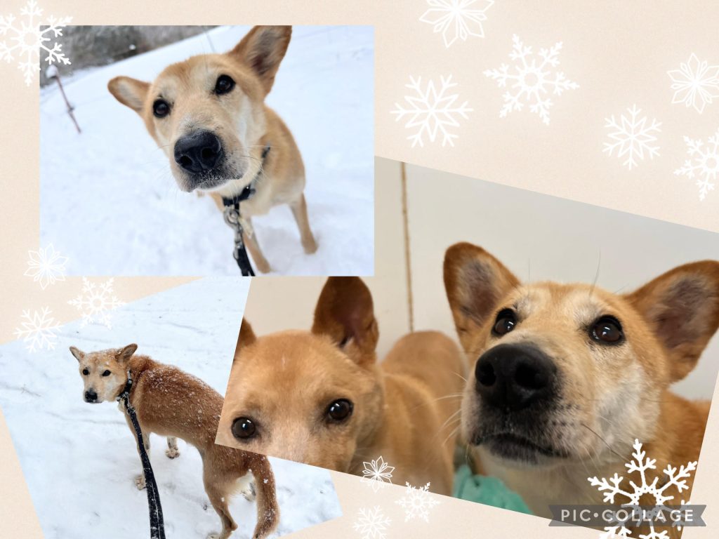 7e50e01ac572a2c559ca02ce25c21847