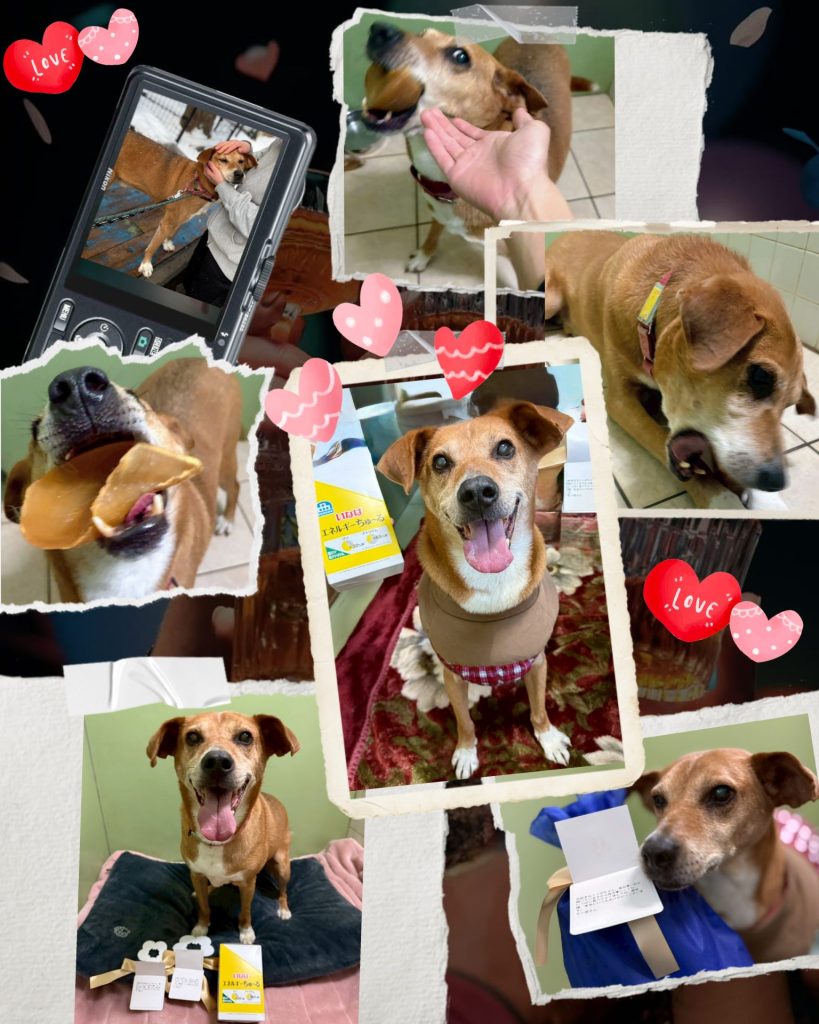 ab717db8443e90d5b8496087f2b89c4b 1