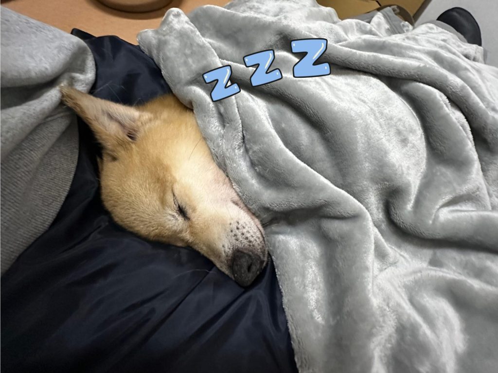 2e32f8532941dc505ac49cad8f73214e 2