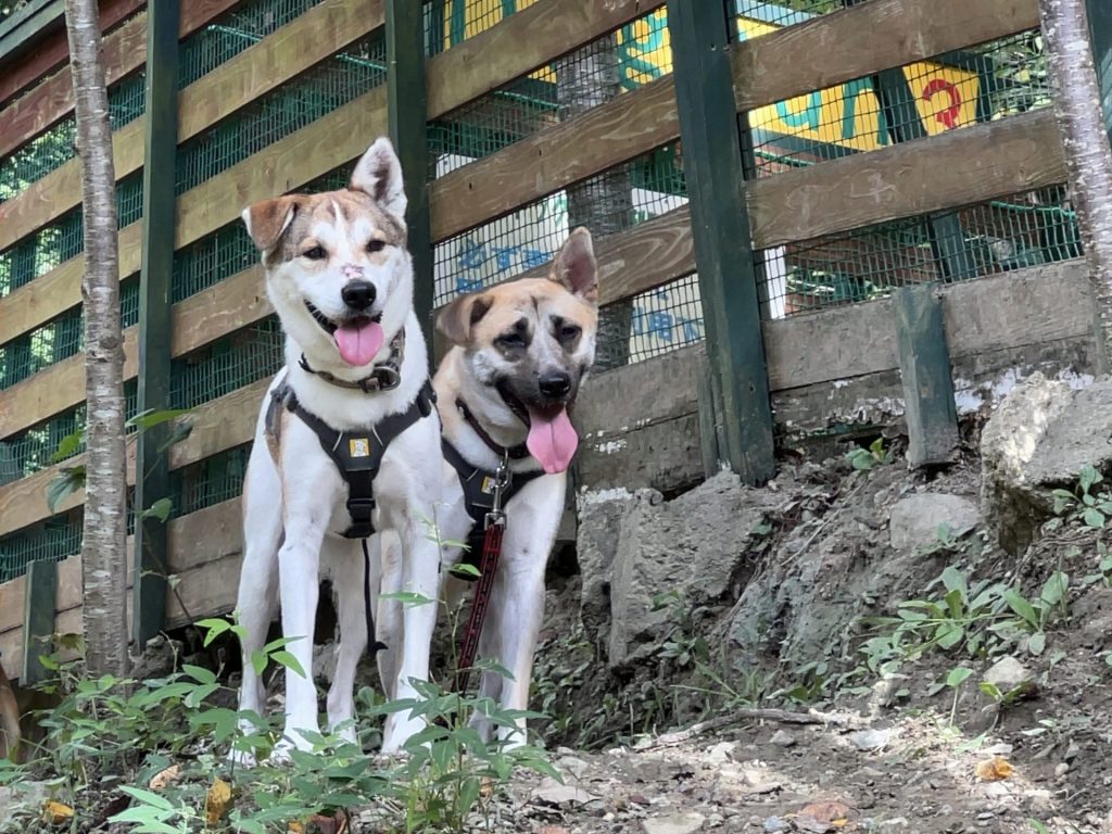 Journal 5 1d3a4222b813068003b4cbefe50fa548