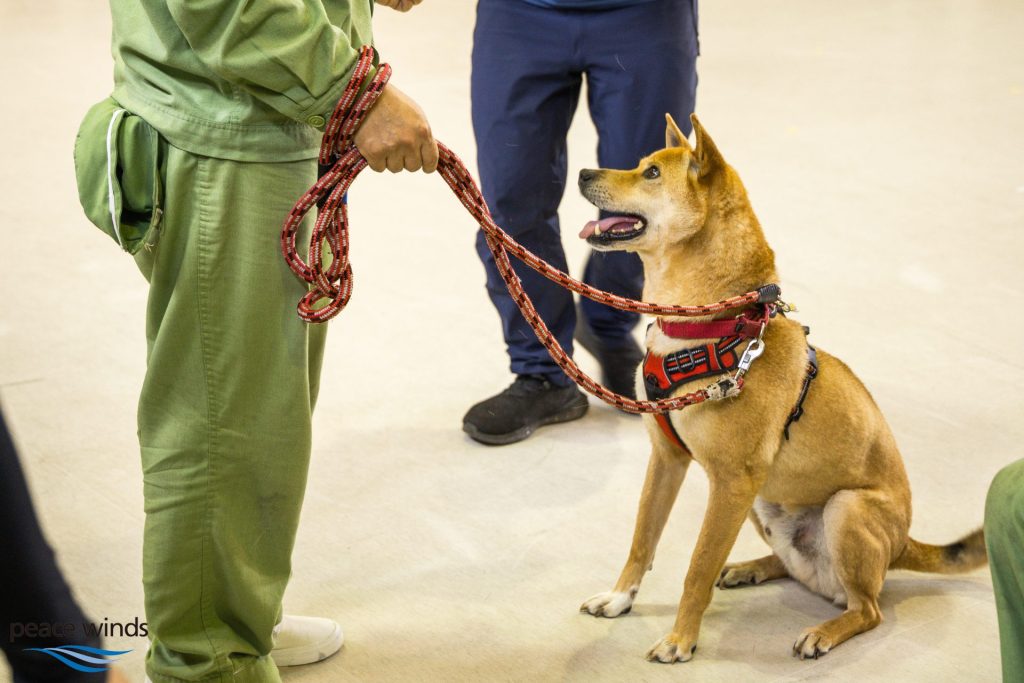 お知らせ 11 PW C4975
