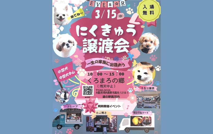 【ピースワンコの譲渡会】3/15(日)「にくきゅう譲渡会」開催(大阪/河内長野市) 3 902bd65b351e088487e6c5cdac37d0dc