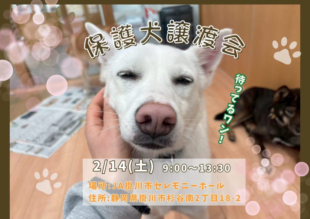 d8e3a0e857274c6f4ddf4bc060d3f9a9